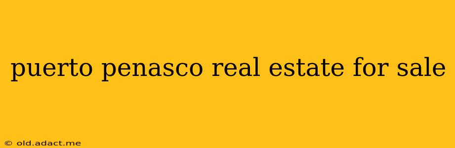 puerto penasco real estate for sale
