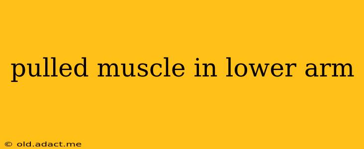 pulled muscle in lower arm
