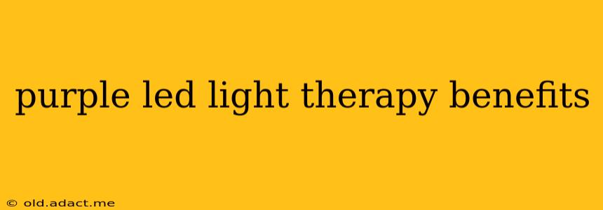 purple led light therapy benefits
