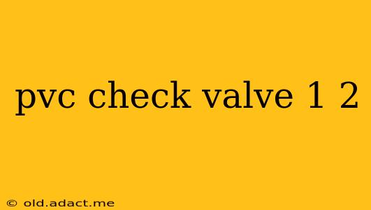 pvc check valve 1 2