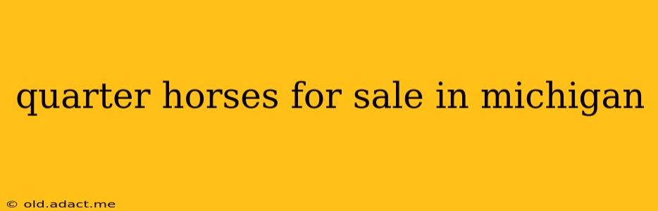 quarter horses for sale in michigan