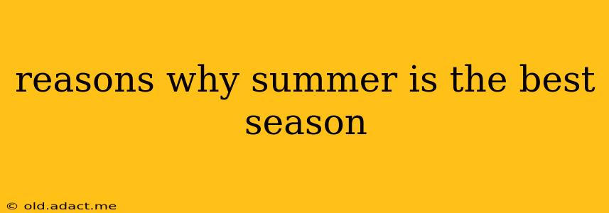 reasons why summer is the best season