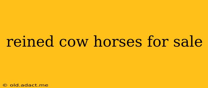 reined cow horses for sale
