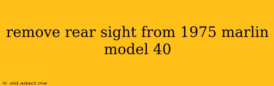 remove rear sight from 1975 marlin model 40