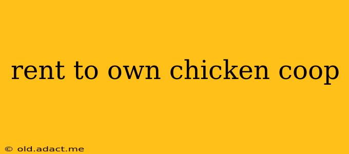 rent to own chicken coop