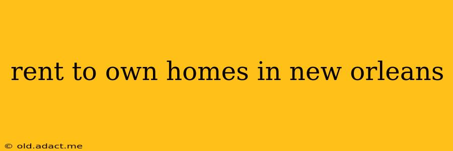 rent to own homes in new orleans