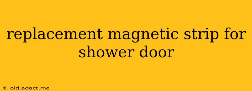 replacement magnetic strip for shower door