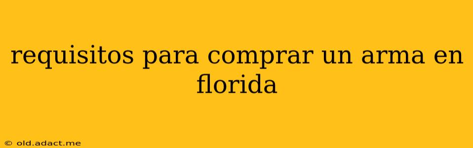 requisitos para comprar un arma en florida