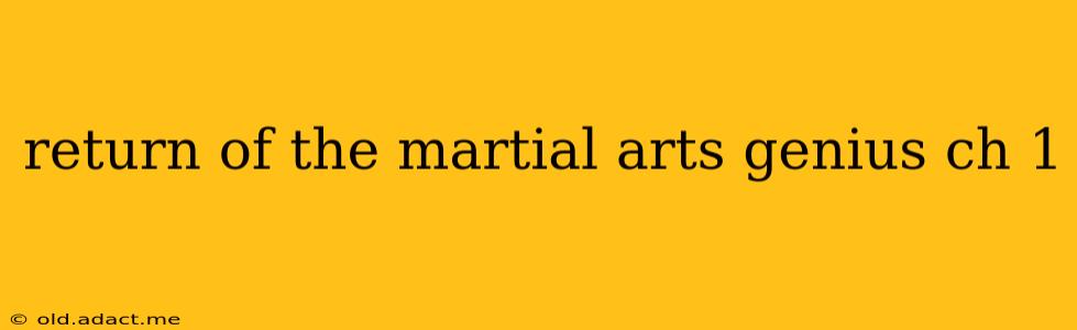 return of the martial arts genius ch 1