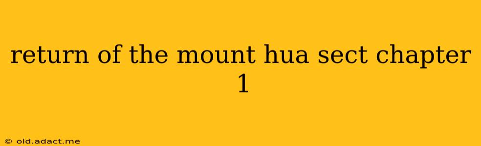 return of the mount hua sect chapter 1