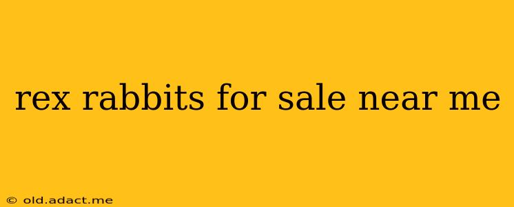 rex rabbits for sale near me