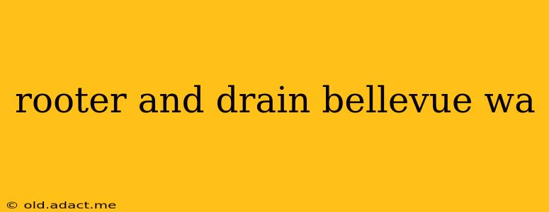 rooter and drain bellevue wa