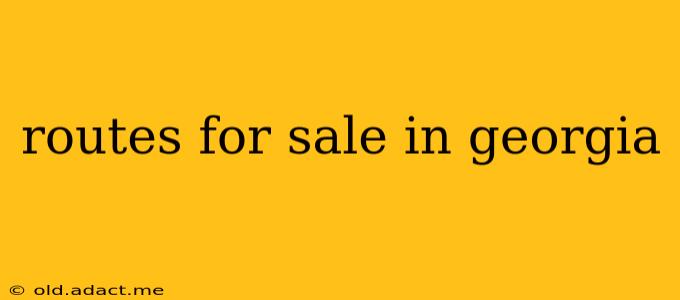 routes for sale in georgia