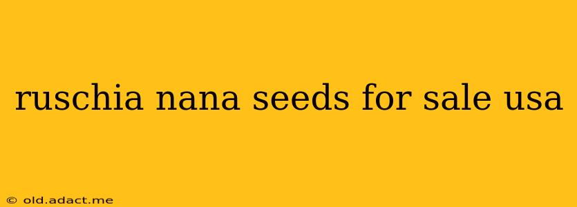 ruschia nana seeds for sale usa