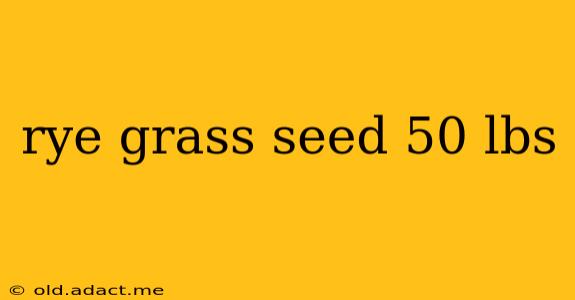 rye grass seed 50 lbs
