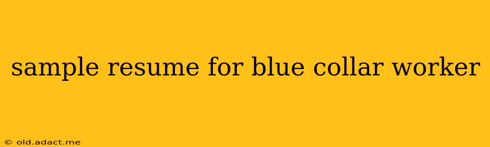 sample resume for blue collar worker