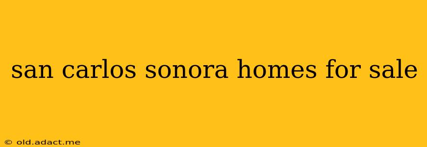 san carlos sonora homes for sale
