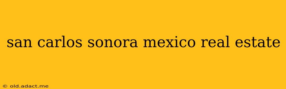 san carlos sonora mexico real estate