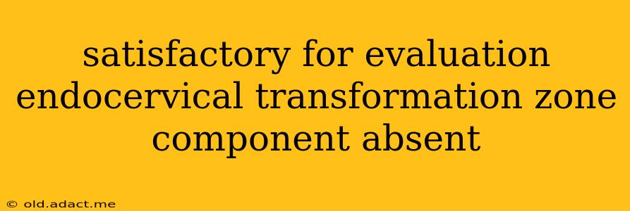satisfactory for evaluation endocervical transformation zone component absent
