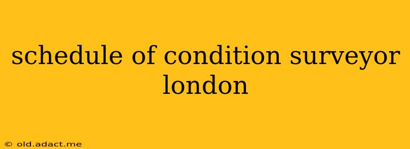 schedule of condition surveyor london