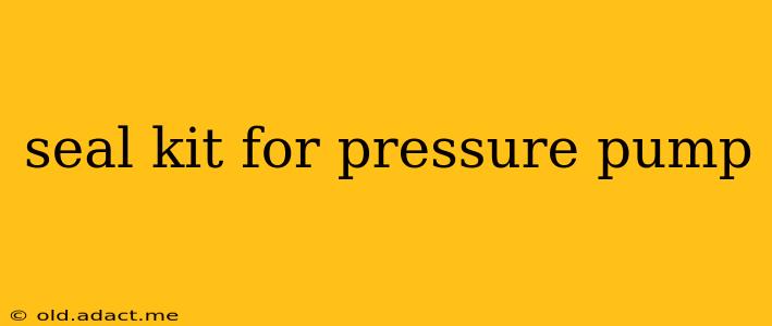 seal kit for pressure pump