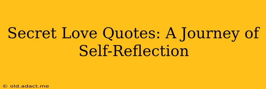 Secret Love Quotes: A Journey of Self-Reflection
