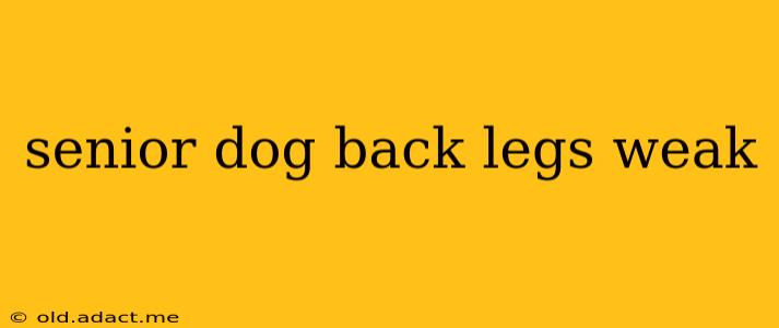 senior dog back legs weak
