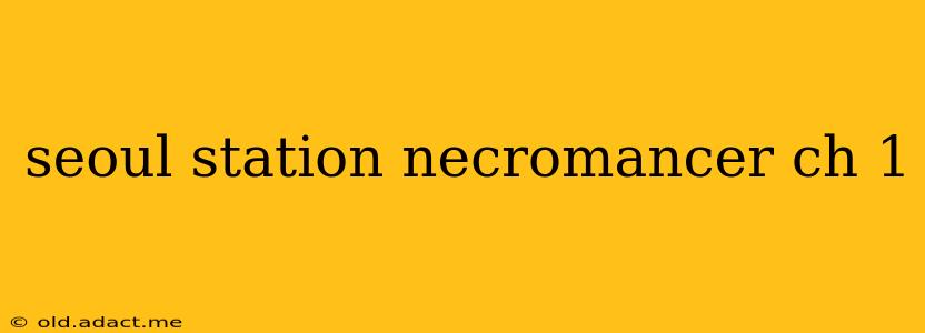 seoul station necromancer ch 1