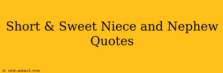 Short & Sweet Niece and Nephew Quotes