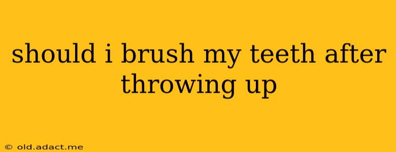 should i brush my teeth after throwing up