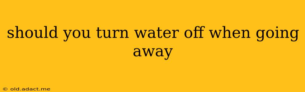 should you turn water off when going away