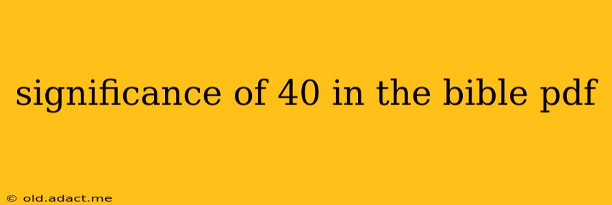 significance of 40 in the bible pdf