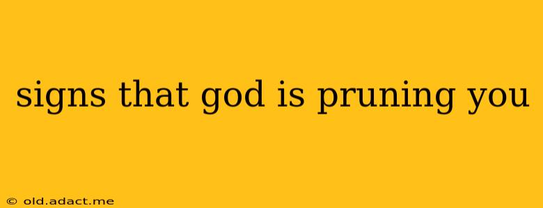 signs that god is pruning you