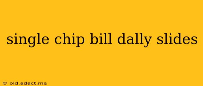 single chip bill dally slides
