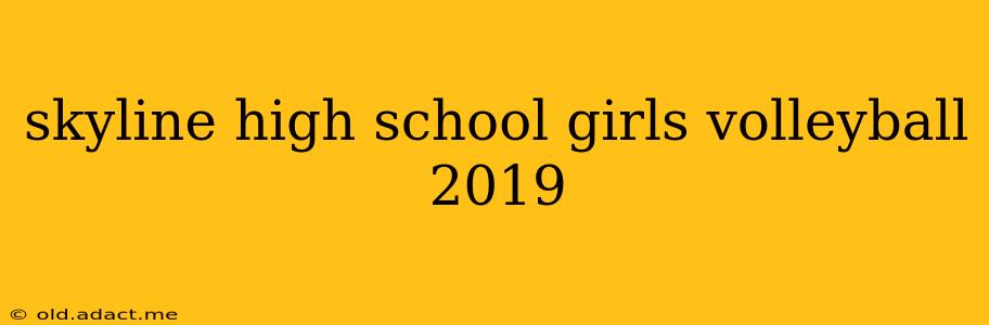 skyline high school girls volleyball 2019