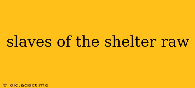 slaves of the shelter raw slaves of the shelter raw