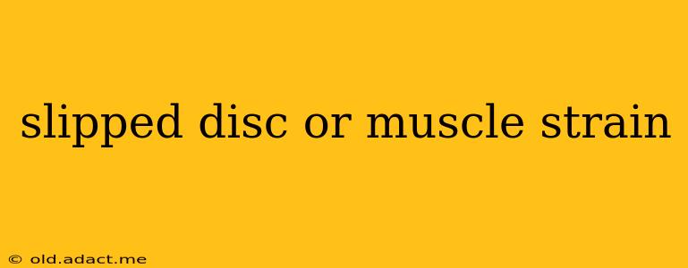 slipped disc or muscle strain