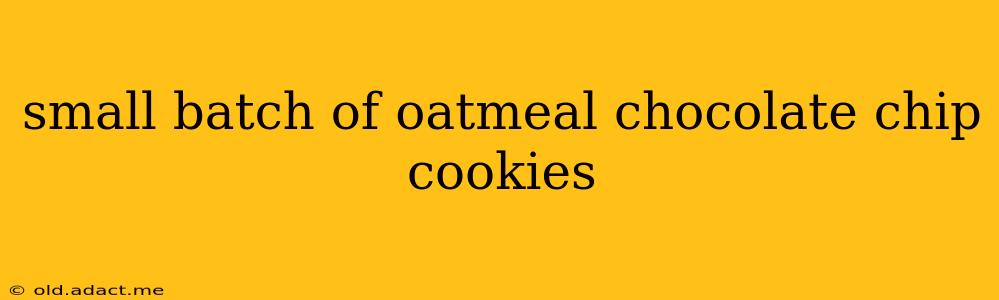 small batch of oatmeal chocolate chip cookies