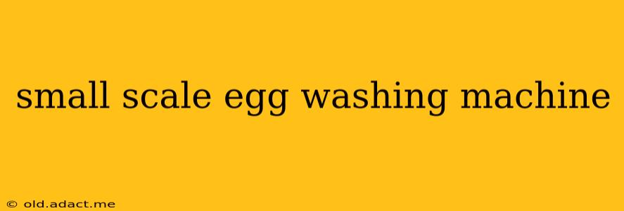small scale egg washing machine