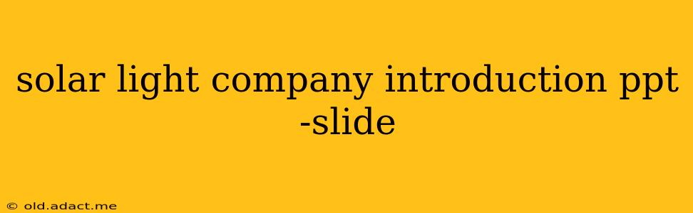 solar light company introduction ppt -slide