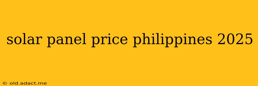 solar panel price philippines 2025
