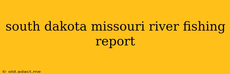 south dakota missouri river fishing report