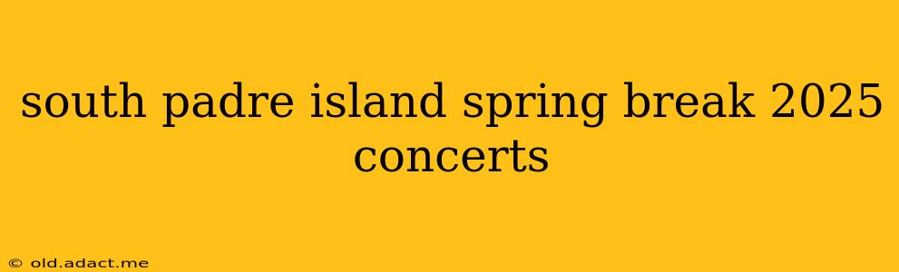 south padre island spring break 2025 concerts