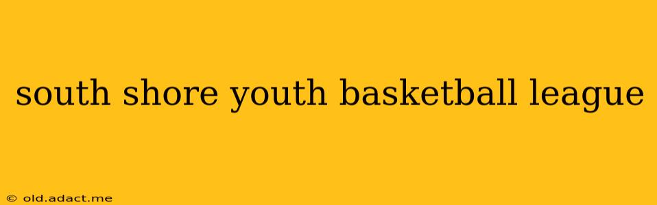 south shore youth basketball league