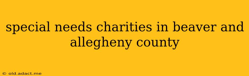 special needs charities in beaver and allegheny county