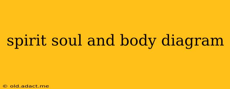 spirit soul and body diagram