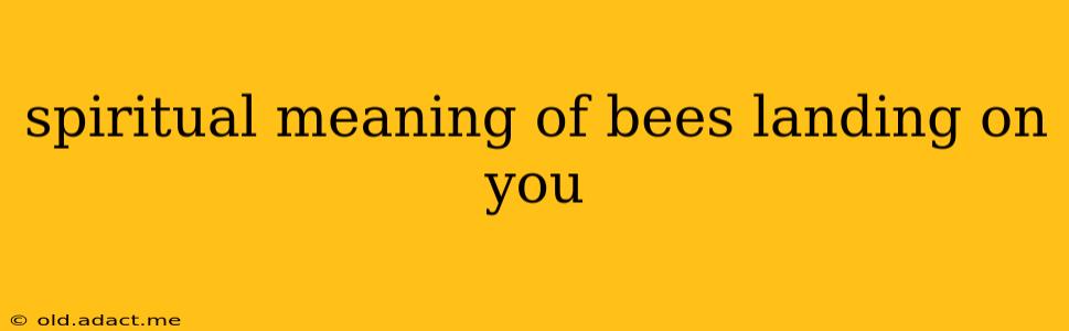 spiritual meaning of bees landing on you