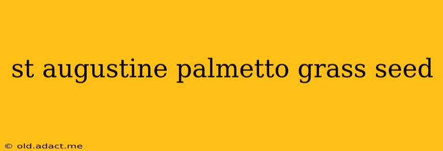 st augustine palmetto grass seed