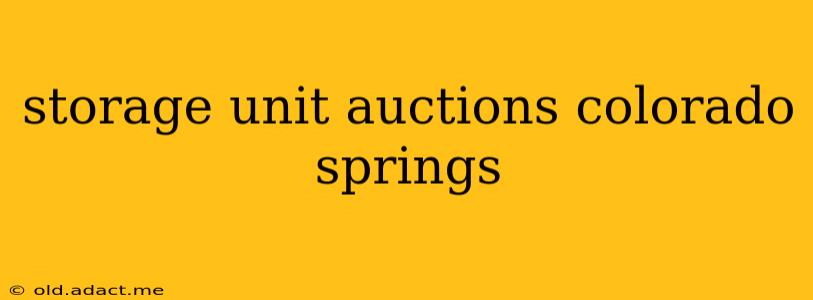storage unit auctions colorado springs