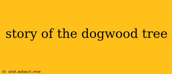 story of the dogwood tree